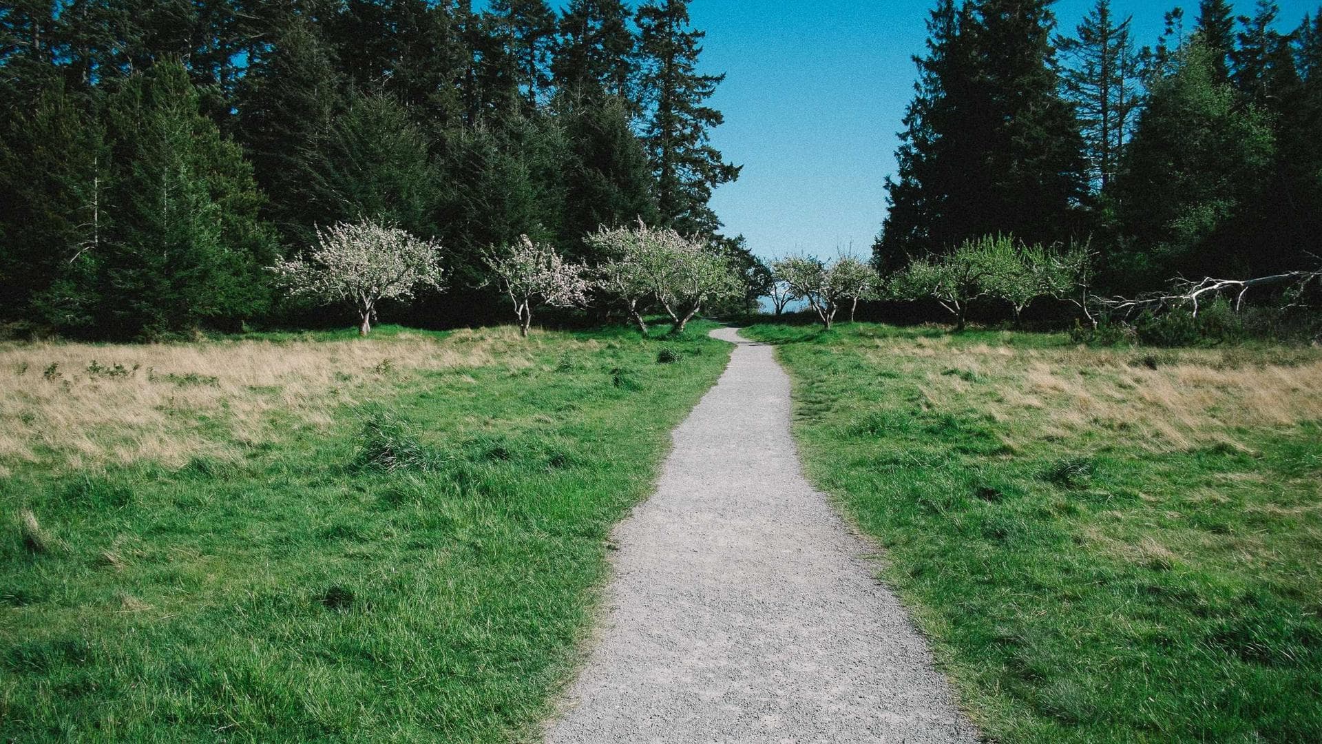 Business Consultancy